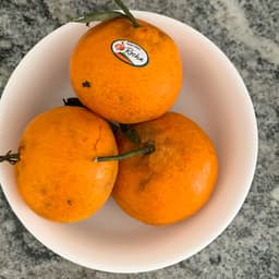 Rocha Alimentos