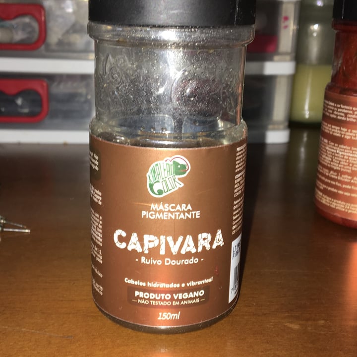 photo of Kamaleão Color Máscara Pigmentante Capivara Ruivo Dourado shared by @mctdf on  03 Aug 2021 - review