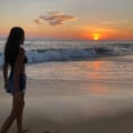 daliaponce @daliaponce profile image