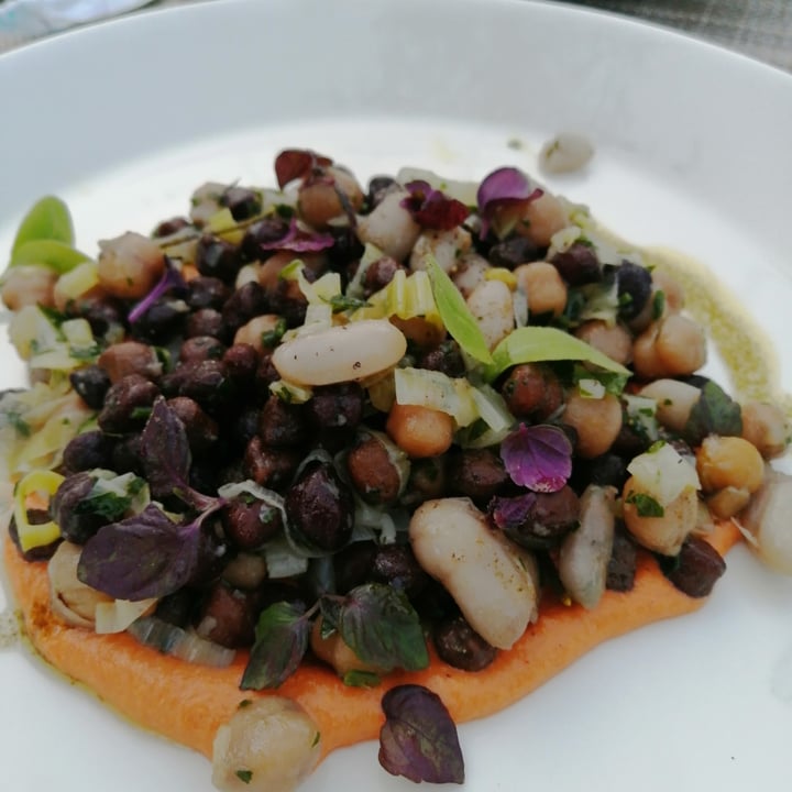 review photo of Eco Park Hotel Azalea insalata di legumi shared by @luigimiracolato on 03 Aug 2022 - review