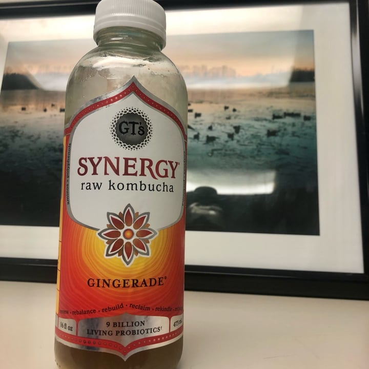 photo of GT’s Living Foods Gingerade shared by @lynnemp on  25 May 2022 - review