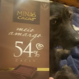 minas cacau