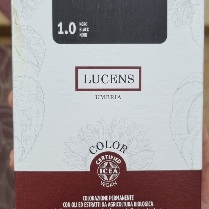 review photo of Lucens umbria Hair coloring shared by @chilicontofu on 29 Jan 2022 - review