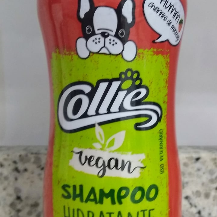 photo of Collie Shampoo Filhotes shared by @1micha8h on  04 May 2022 - review
