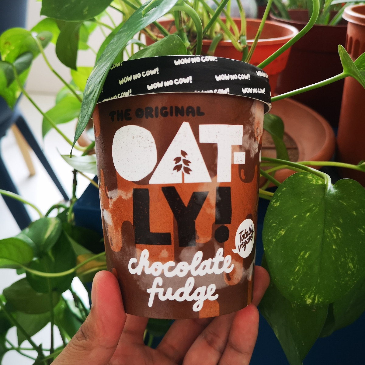 Oatly Chocolate Fudge Reviews abillion