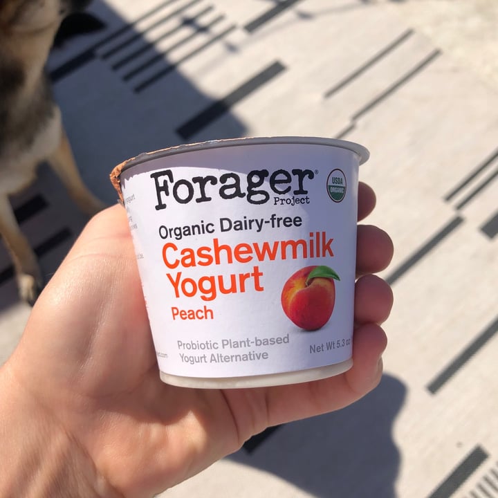 photo of Forager Project Cashewmilk Yogurt - Peach shared by @smallbird on  13 Jun 2021 - review