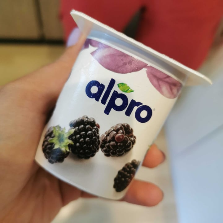 photo of Alpro 2x Raspberry Cranberry 2x Blackberry Yogurt shared by @dudagraziano on  01 Jun 2020 - review
