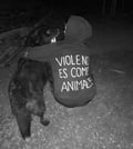 milogarrido @milogarrido profile image