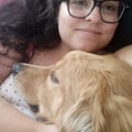 camillavergani @camillavergani profile image