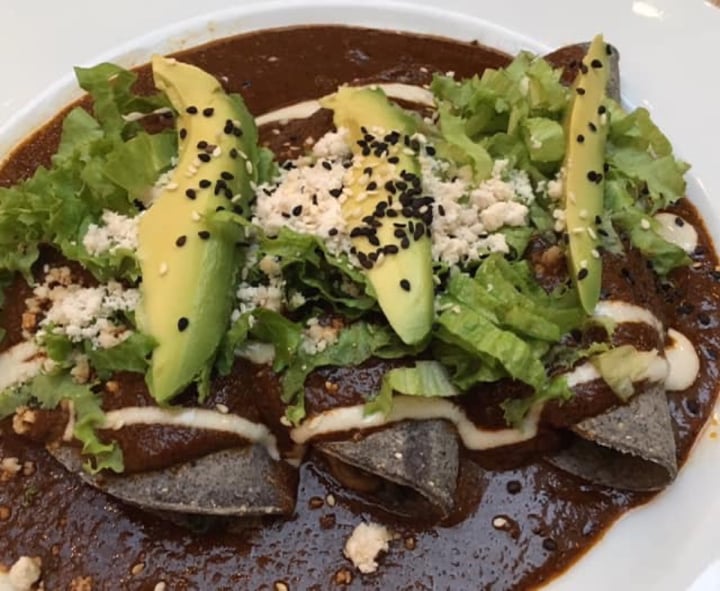 review photo of LA SENDA Enmoladas shared by @alevegana on 21 Jan 2020 - review