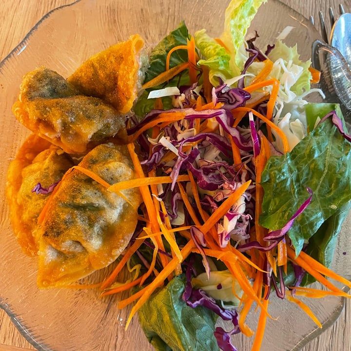 review photo of Fresh & Natural Thai Kitchen Vegi Pot Stickers shared by @lisaohman on 26 Sep 2021 - review