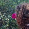 janeimrie @janeimrie profile image