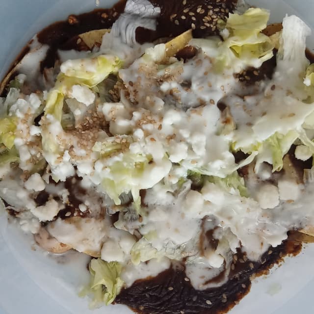Photo of the dish “Enchiladas de Mole Poblano”