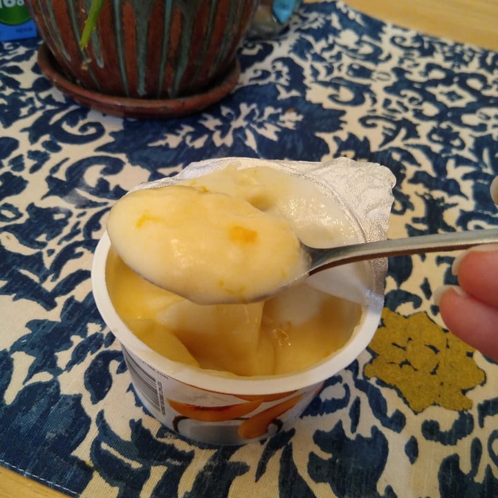 review photo of So Delicious Dairy Free Peach Coconutmilk Yogurt Alternative shared by @biancavegan on 11 Jan 2022 - review