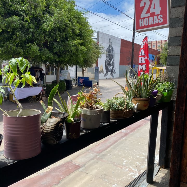 review photo of Enclave Caracol Latte en las rocas shared by @burritodechilaquiles on 03 Oct 2022 - review
