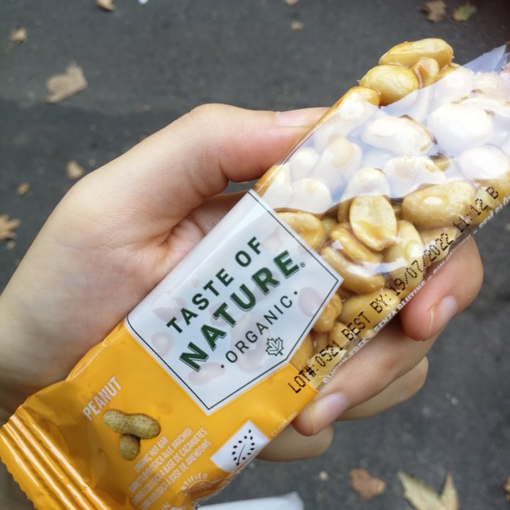photo of Taste of Nature Peanut Bar shared by @francesnincarbone on  29 Sep 2021 - review