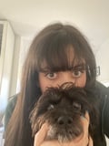 isobellola @isobellola profile image