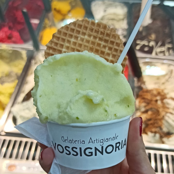 photo of Gelateria artigianale VOSSIGNORIA Gelato Al Pistacchio shared by @martmax on  29 May 2022 - review