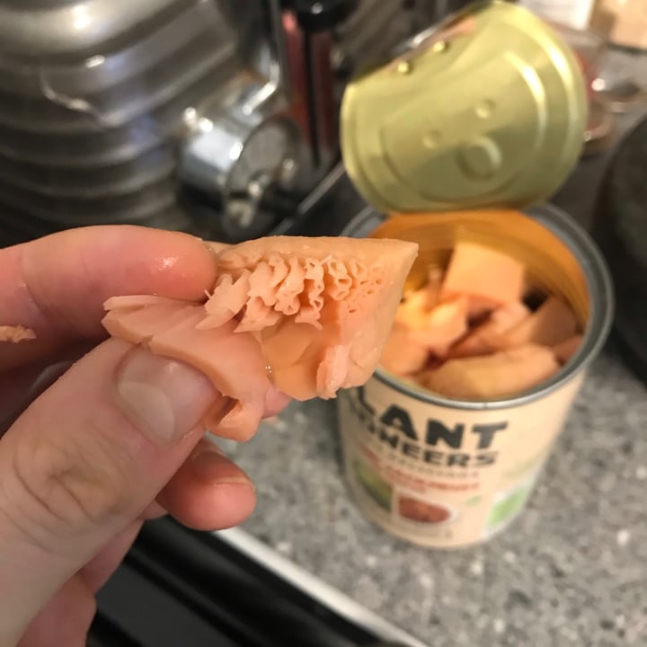 review photo of Plant Pioneers Young Jackfruit In Water shared by @infinitevegan on 03 Mar 2021 - review