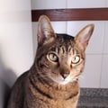 sunshine18 @sunshine18 profile image