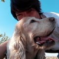 crisveganheart @crisveganheart profile image