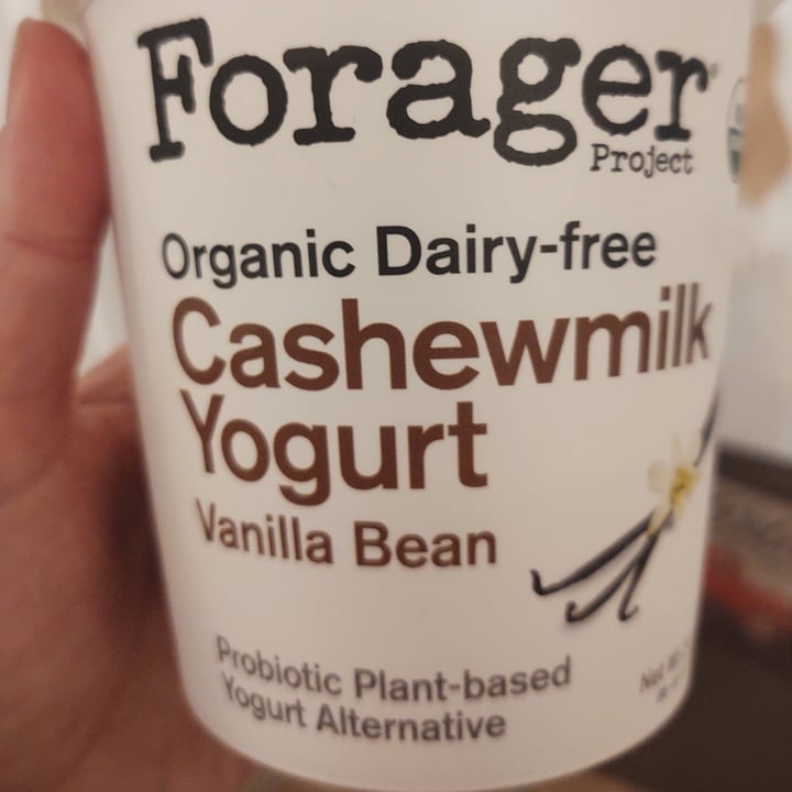 photo of Forager Project Organic Dairy-free Cashewmilk Yogurt Vanilla Bean shared by @healthyhorizons on  09 Feb 2021 - review