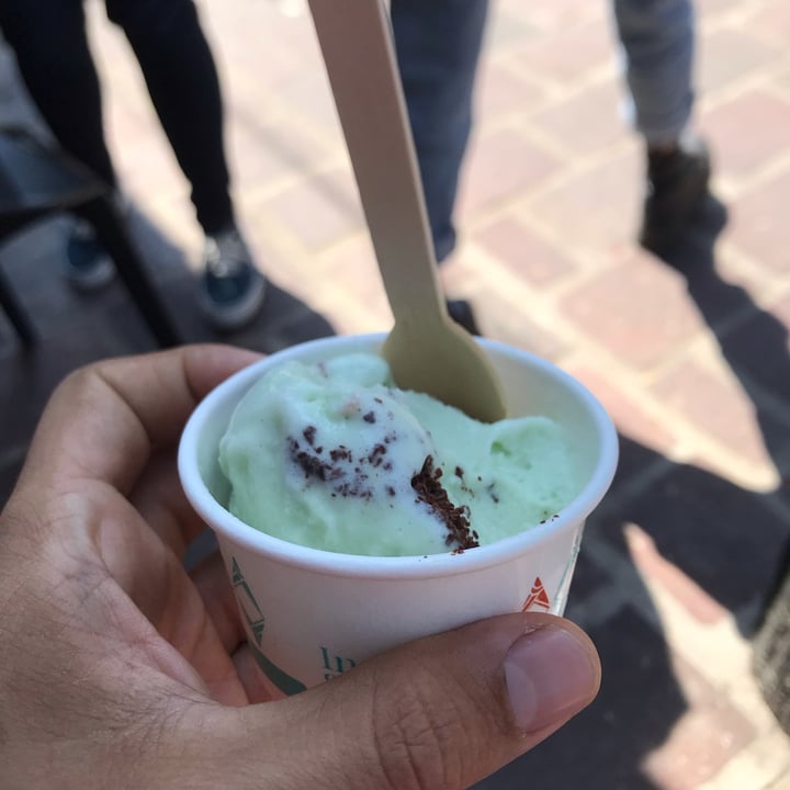 photo of INDULGENTE Helados sin culpa Helado sencillo de menta shared by @viiictor22 on  03 Nov 2021 - review