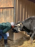 veganforthem @veganforthem profile image