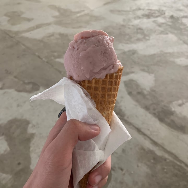 review photo of SASCO@Khatib Strawberry field shared by @syafiqnasri on 26 Jun 2021 - review