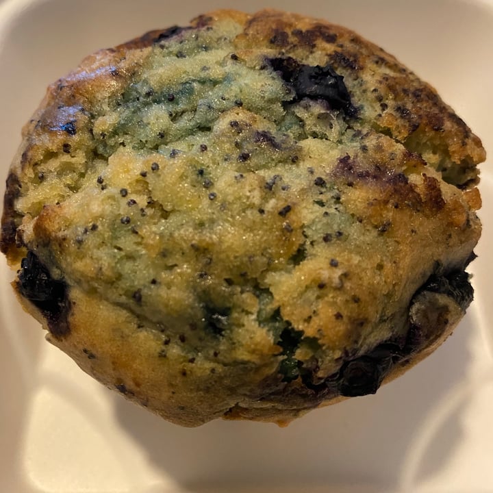 photo of Grounds & Greens Cafe Blueberry Lemon Poppyseed Muffin shared by @veganmika on  04 Apr 2021 - review