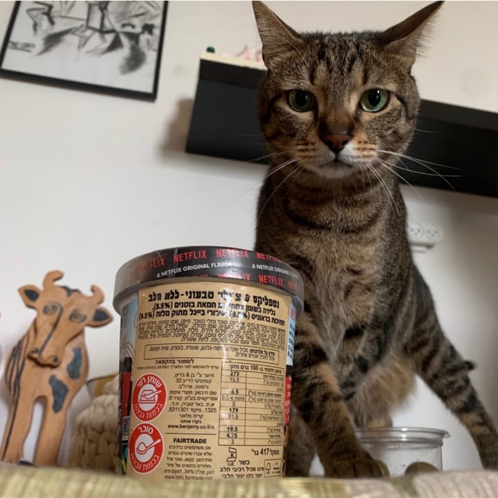 review photo of Ben & Jerry's Netflix & Chilll'd Non-Dairy Frozen Dessert shared by @vegantobi on 22 Mar 2021 - review
