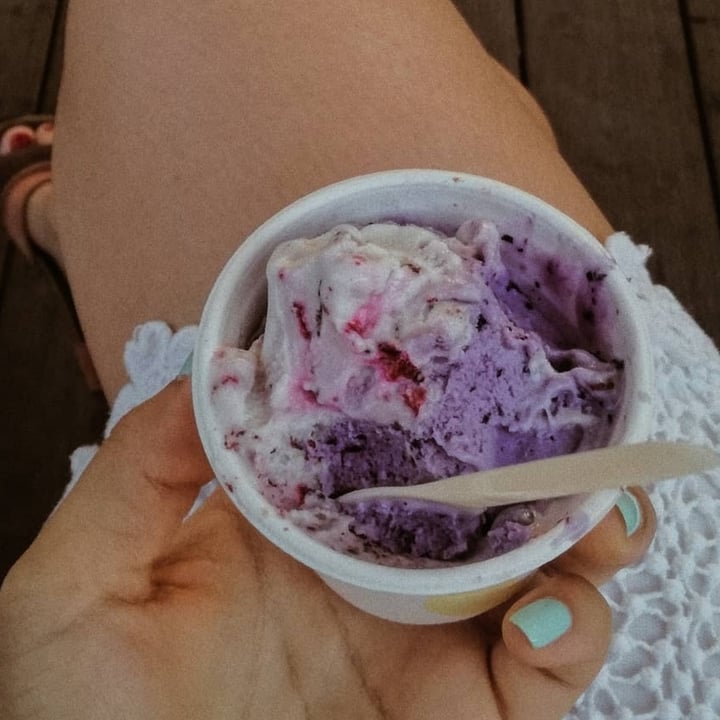photo of Veganista Ice Cream Lavendelice shared by @learamirez on  28 Aug 2020 - review