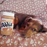 Oddi’s nuts