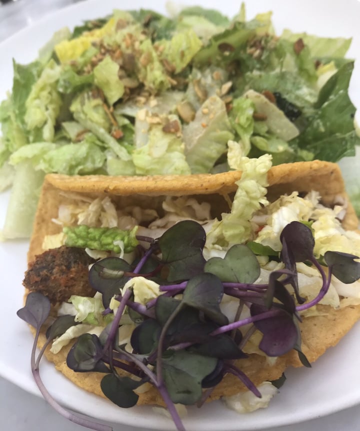 photo of Gracias Madre Beer Battered Portabello Taco shared by @citybythbayvegan on  09 Jul 2019 - review
