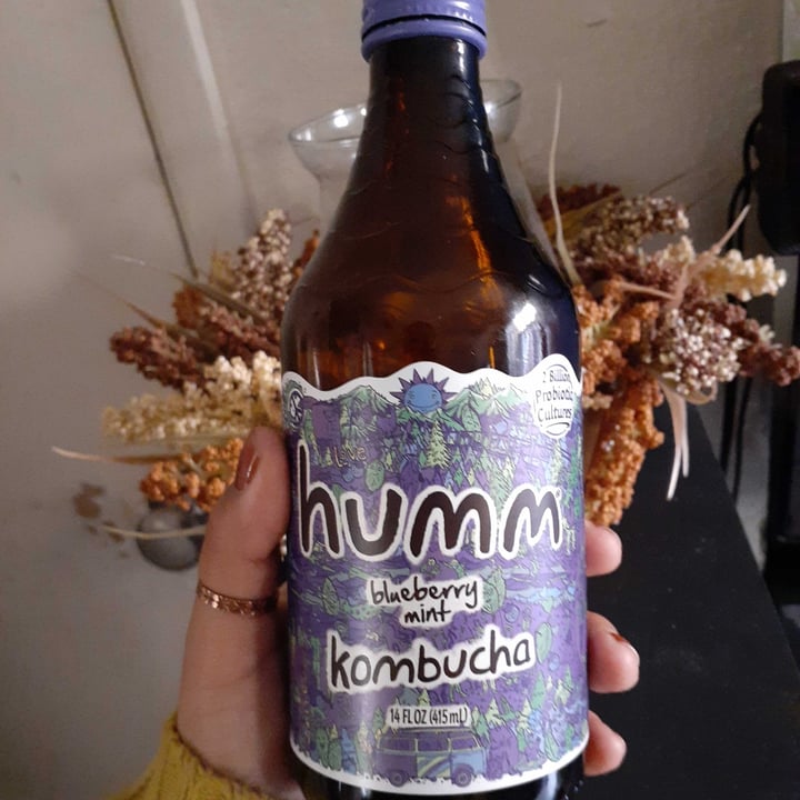 photo of Humm Kombucha Blueberry Mint shared by @rain7246 on  28 Dec 2020 - review
