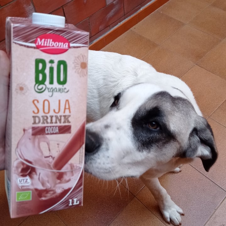 photo of Milbona Bebida bio de soja cacao shared by @isabeletta on  07 Feb 2022 - review