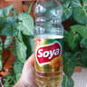 Soya 