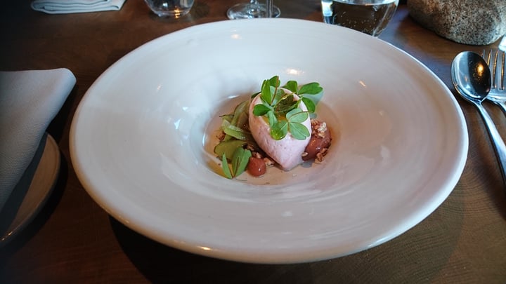 photo of SK Mat & Människor Rhubarb sorbet shared by @shadefood on  08 May 2020 - review