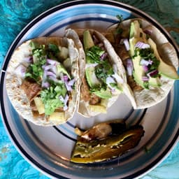 Alternativa vegetariana