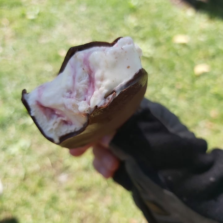 review photo of NotCo Not Icecream Cremoso de Frambuesa shared by @dantelia on 14 Dec 2020 - review