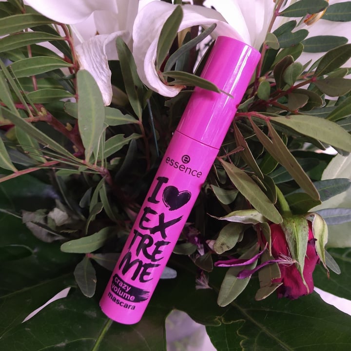 photo of Essence Cosmetics Mascara extreme Crazy Volume shared by @benedetta88 on  22 Feb 2022 - review