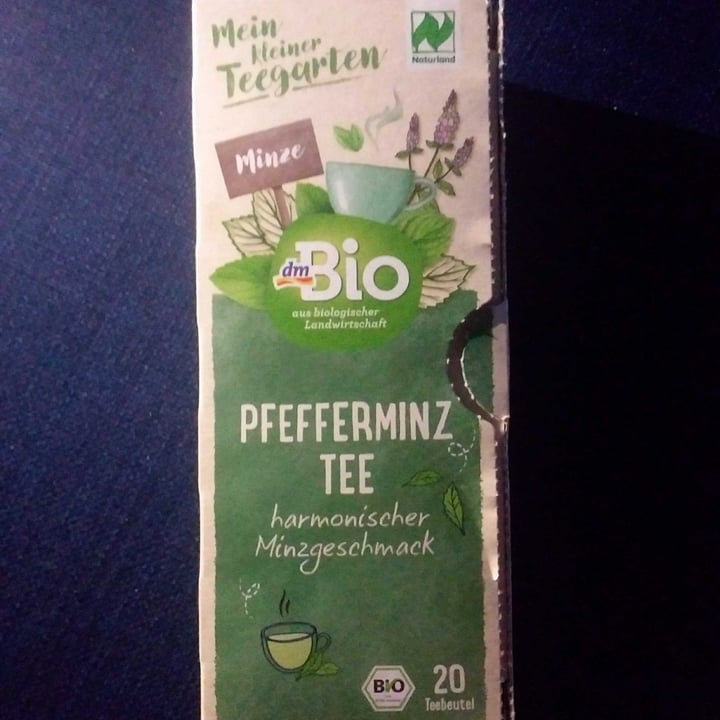 review photo of dmBio Pfefferminz Tee shared by @simonaximeng on 19 Sep 2022 - review