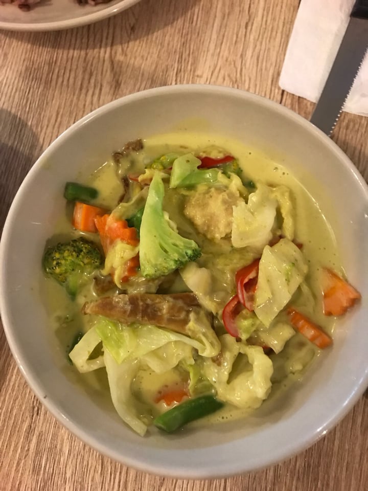 review photo of Dow Restaurant Green curry with fake duck and chicken shared by @rajamani on 11 Jul 2018 - review
