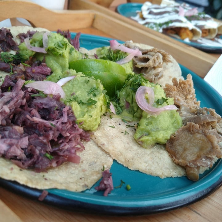photo of Dalia Plant Power . Mex Tacos X4 shared by @vegansauruos on  03 Dec 2020 - review