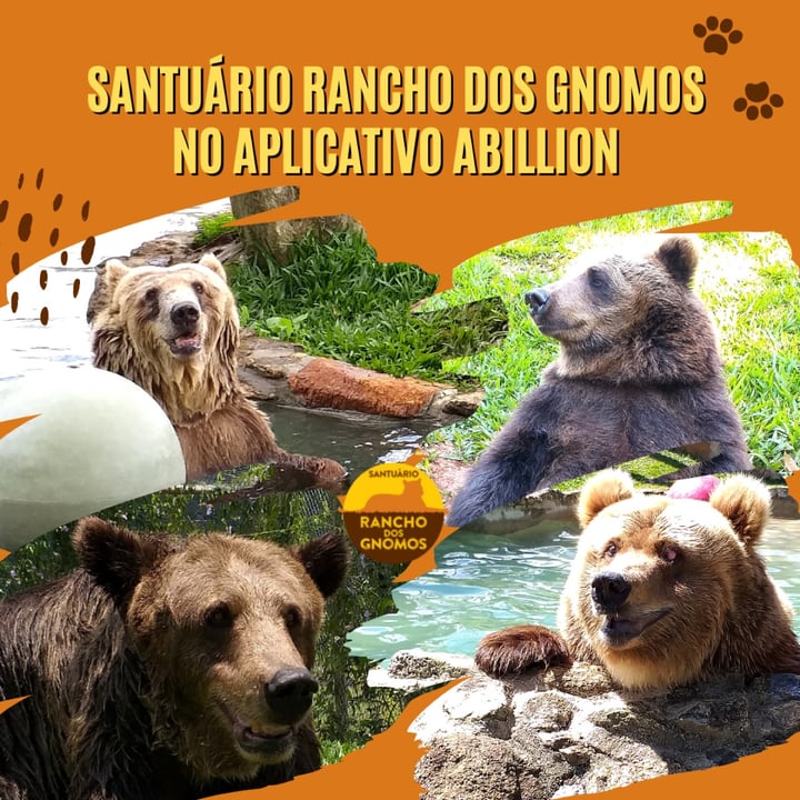 review photo shared by @ranchodosgnomos on 04 May 2022 - post