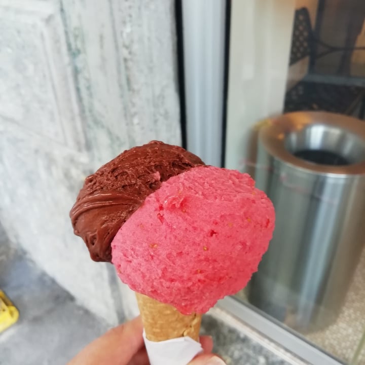 photo of Gelato Giusto Cioccolato Fondente dell'Ecuador + Fragola shared by @elenar on  16 Apr 2022 - review