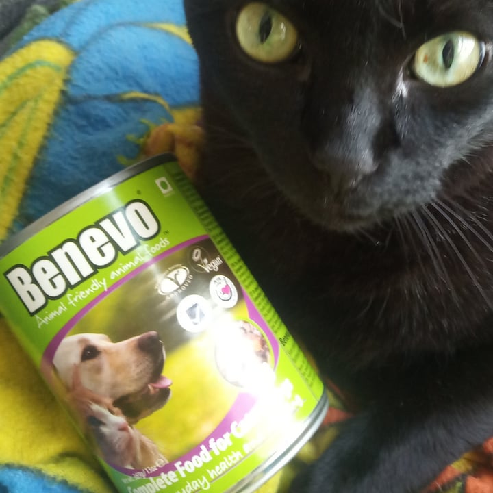 review photo of Benevo Complete Food For Dogs And Cats shared by @helenabat on 13 Aug 2020 - review