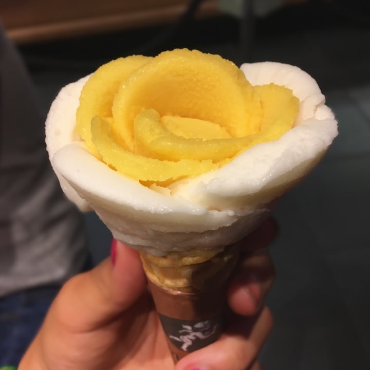 photo of Amorino Passionfruit and Organic Lemon Sorbet shared by @lianaperez on  04 Jul 2018 - review