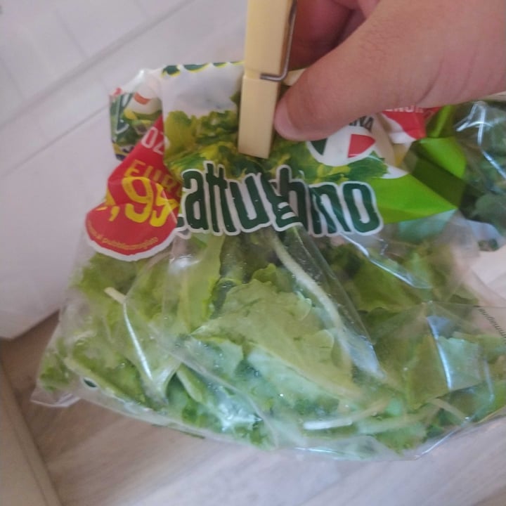 photo of Bonduelle Lattughino shared by @iolemerelli on  05 Aug 2022 - review