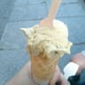 Green Scoop Vegan